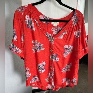 Maeve V neck blouse.